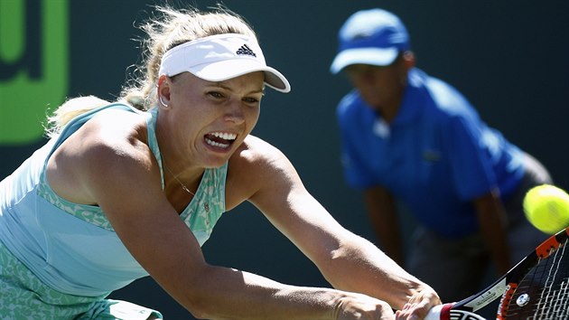 Dnsk tenistka Caroline Wozniack v duelu s Venus Williamsovou z USA.