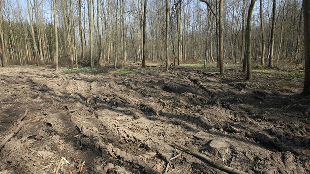 Pohled na msto v Chrnn krajinn oblasti Litovelsk Pomorav, kde zamstnanci Les msta Olomouce manipulovali se devem pomoc traktoru. Zniili tak porosty chrnnch snenek a bledul.