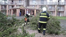 Hasii odklízejí spadlý strom u turnovského domova pro seniory.