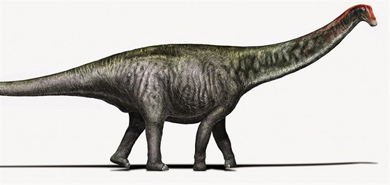 Brontosaurus, kterému vdci pisoudili samostatný ivoiný rod (7. dubna 2015).