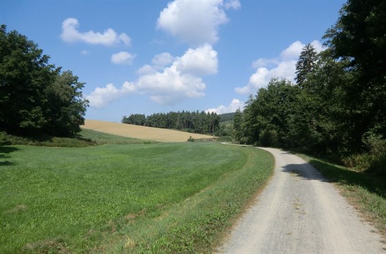 Trasa . 2, Falkenstein  ezno, typická scenerie v údolí potoka Wenzenbach....