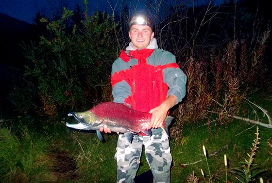 Losos ve fázi tení (Spawning Sockeye Salmon) vypadá jako ryba z jiné planety.