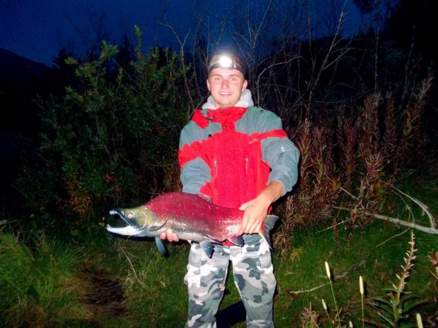 Losos ve fázi t�ení (Spawning Sockeye Salmon) vypadá jako ryba z jiné planety.