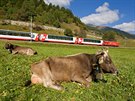 výcarský vlak nazvaný Ledovcový expres jezdí mezi dvma luxusními alpskými...