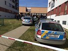 Policisté v ulici Nová Kolonie ve Stodlkách zadreli dva mue, kteí se jim...