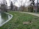 Bevnovský park