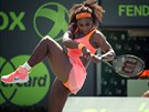 Serena Williamsová slaví postup do semifinále turnaje v Miami.