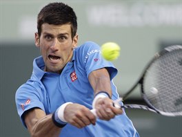 Srbsk tenista Novak Djokovi v duelu s Ukrajincem Alexandrem Dolgopolovem.