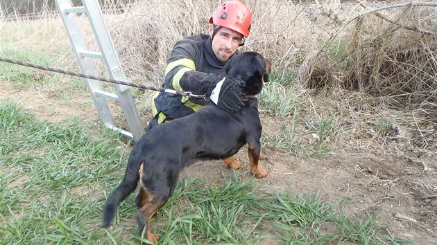 Pes a jeho zachrnce hasi Martin Kolek.