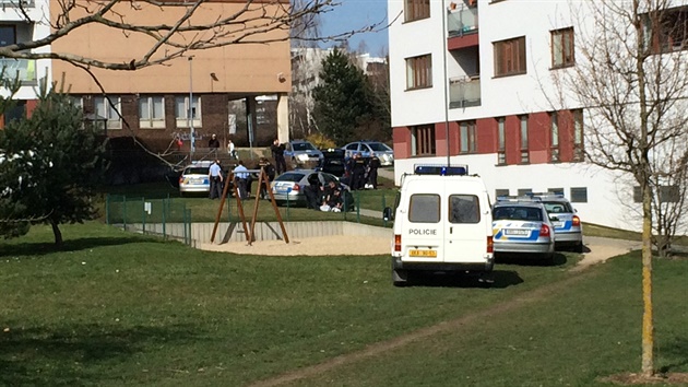 Policisté v ulici Nová Kolonie ve Stodlkách zadreli dva mue, kteí se jim...