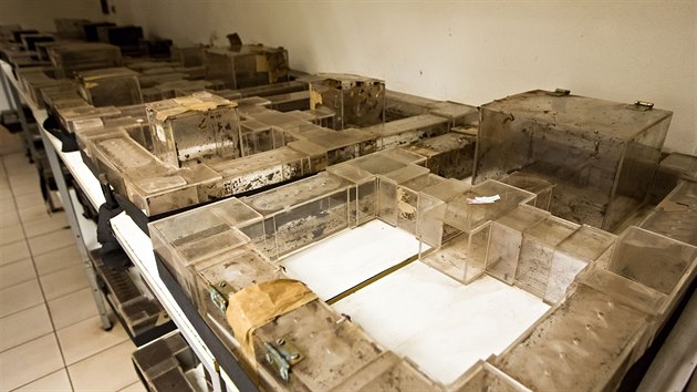 Labyrint chodeb, ve kterých žijí rypoši chovaní na Přírodovědecké fakultě Jihočeské univerzity.