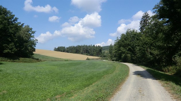 Trasa . 2, Falkenstein  ezno, typick scenerie v dol potoka Wenzenbach. Zde cyklostezka nezape svj pvod v eleznin trati.