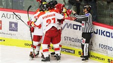 Olomoutí hokejisté slaví branku na led Budjovic.