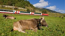 výcarský vlak nazvaný Ledovcový expres jezdí mezi dvma luxusními alpskými...