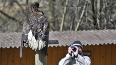 Ptaí den v jihlavské zoo.