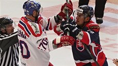 eský hokejista Radek Smoleák (vlevo) se poutí do potyky s jedním ze...