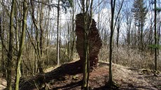 Z�ícenina Trma�ov