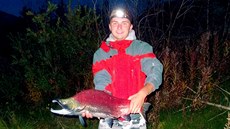 Losos ve fázi t�ení (Spawning Sockeye Salmon) vypadá jako ryba z jiné planety.