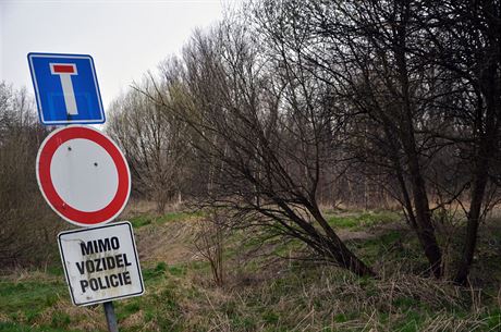 Liberetí policisté dívku nali v lesním porostu.