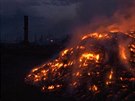 Vypalování trávy zaehlo lesy na Sibii, uhoelo patnáct lidí