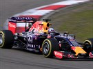 Daniel Ricciardo pi druhém tréninku na Velkou cenu íny.