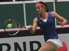 TO JET STIHNU. Francouzka Caroline Garciaová v semifinále Fed Cupu proti...