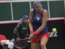 BEKHEND. Petra Kvitová v semifinále Fed Cupu.