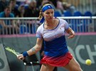 Svetlana Kuzncovová v semifinále Fed Cupu.