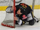 Chomutovský hokejista Martin Rýgl líbá tyku branky, do které vstelil...