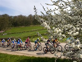Momentka z tradin ardensk cyklistick klasiky Amstel Gold Race.