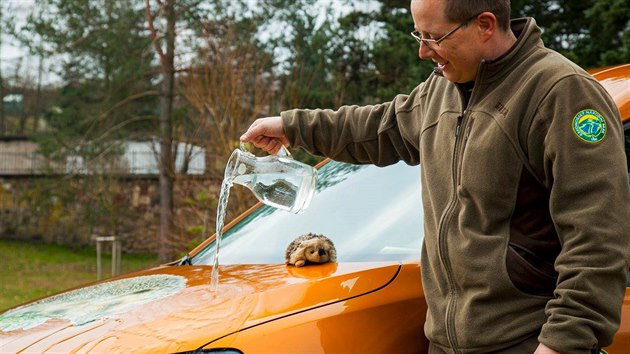 Zraněná zvířata bude vozit nový automobil, dostal jméno Bodlinka.