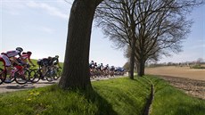 Momentka z cyklistické ardénské klasiky Amstel Gold Race.