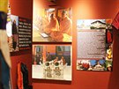 Výstava angri-la v Jihoeském muzeu v eských Budjovicích.