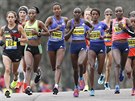 Elitní skupina bky pi Bostonském maratonu.