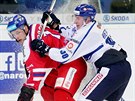 Atakovaný Vladimír Sobotka v utkání s Finskem.