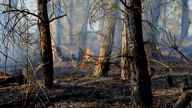 Pi lesnm poru pobl zmku v Nmti na Han na Olomoucku shoelo pldruhho hektaru porostu. S plameny bojovalo pt jednotek hasi.