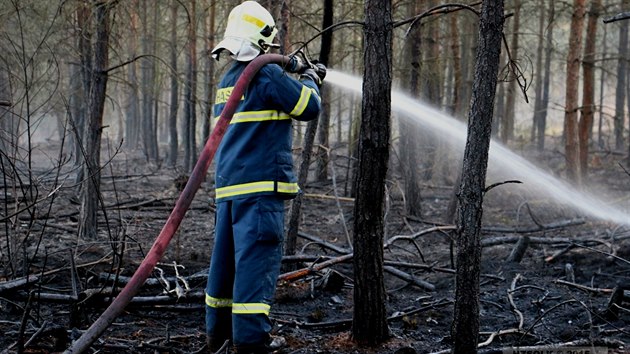 Pi lesnm poru pobl zmku v Nmti na Han na Olomoucku shoelo pldruhho hektaru porostu. S plameny bojovalo pt jednotek hasi.