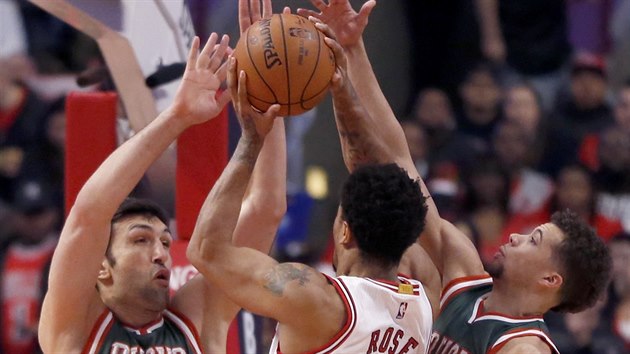 Derrick Rose (uprosted) z Chicaga se tla ke koi Milwaukee pes Michaela Cartera-Williamse (vpravo) a Zazu Paulju.