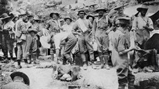 Vojáci 3. australské lehké jízdní brigády za zákopy na Gallipoli