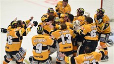 Hokejisté Litvínova se radují z vítzství v sedmém finále extraligy, které jim...