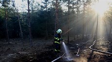 P�i lesním po�áru poblí� zámku v Nám�ti na Hané na Olomoucku sho�elo...