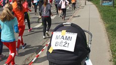 Zp�t na start aneb brn�nský p�lmaraton