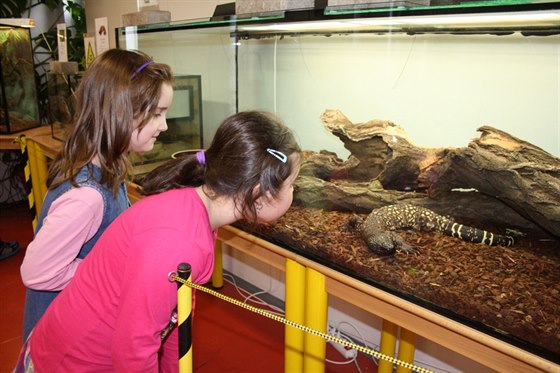 Smíchovská Stanice pírodovdc je zárove malou zoologickou zahradou.