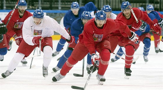 tvrtení trénink eské hokejové reprezentace.