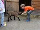 Smíchovská Stanice pírodovdc je zárove malou zoologickou zahradou.