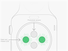 Apple Watch - senzory pro mení tepu