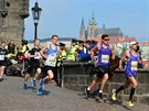 Volkswagen maraton Praha 2015