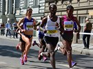 Volkswagen maraton Praha 2015