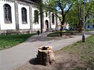 Nkteré stromy na Karlínském námstí padly pi úpravách parku k zemi.