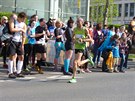 Volkswagen Maraton Praha 2015